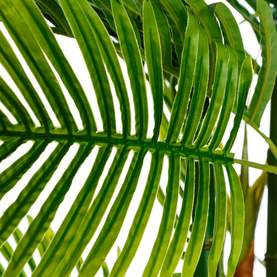 PLANTA ARECA PALMERA VERDE 170 CM