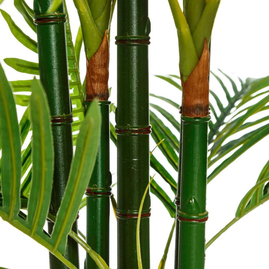 PLANTA ARECA PALMERA VERDE 170 CM