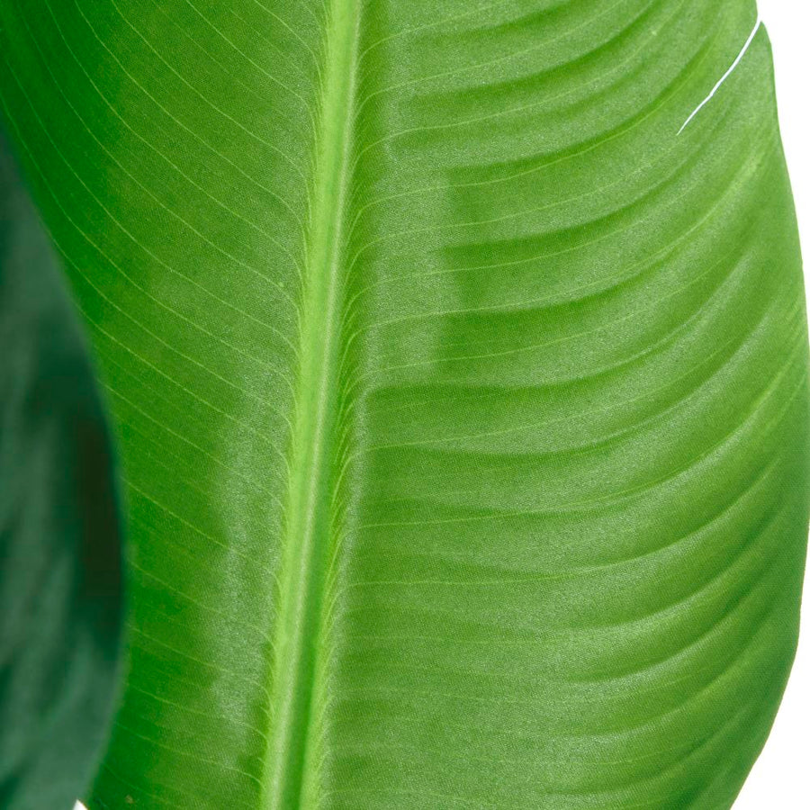 PLANTA AVE DEL PARAÍSO VERDE 150 CM