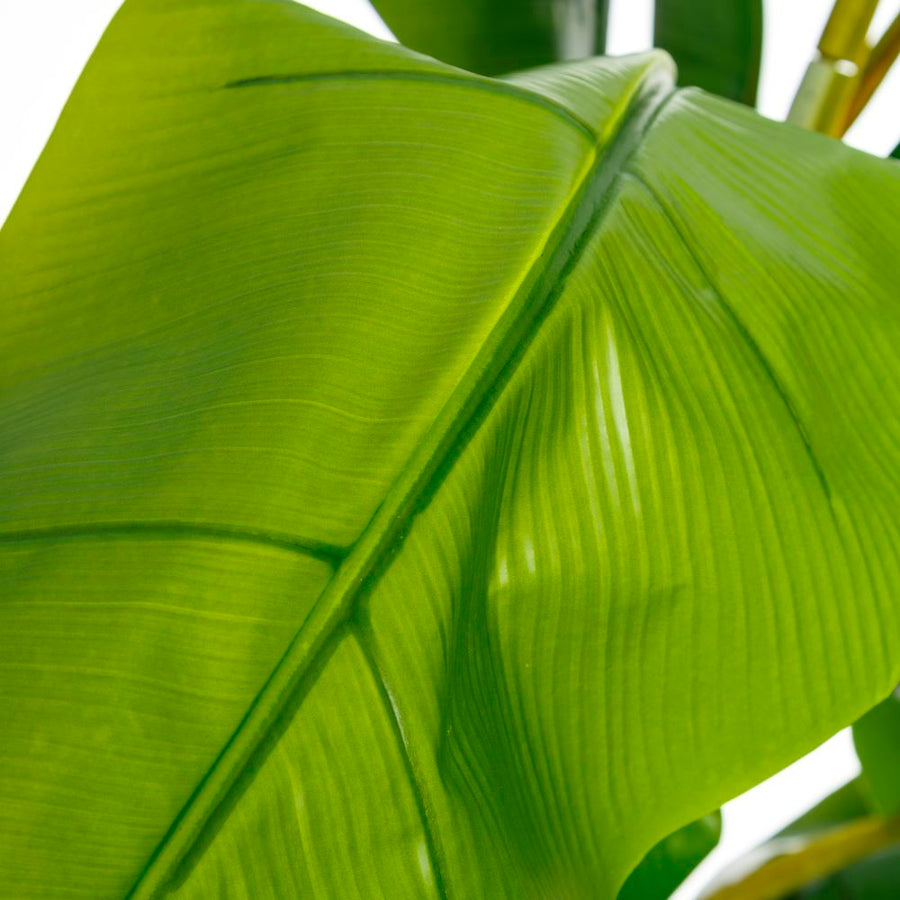 PLANTA PLATANERO VERDE DECORACIÓN 103 X 95 X 200 CM