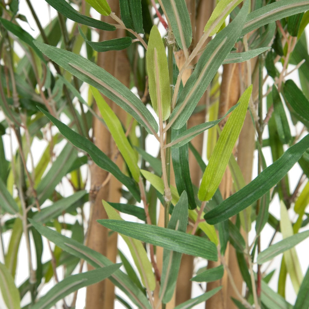 GREEN BAMBOO PLANT DECORATION 50 X 51 X 150 CM