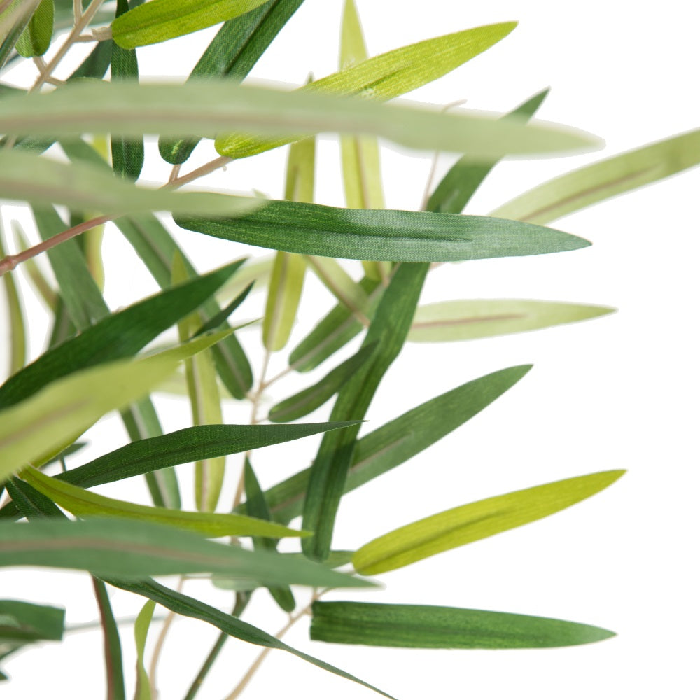 GREEN BAMBOO PLANT DECORATION 50 X 51 X 150 CM