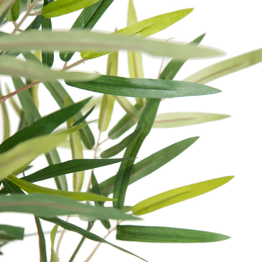 GREEN BAMBOO PLANT DECORATION 50 X 51 X 150 CM