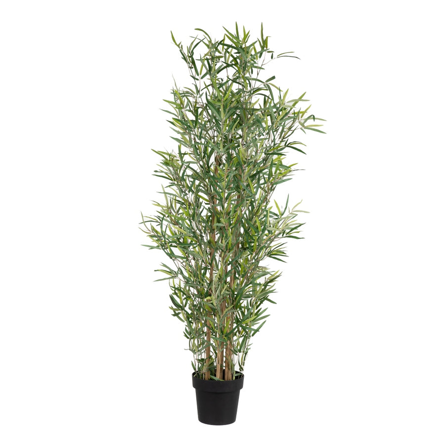 GREEN BAMBOO PLANT DECORATION 50 X 51 X 150 CM