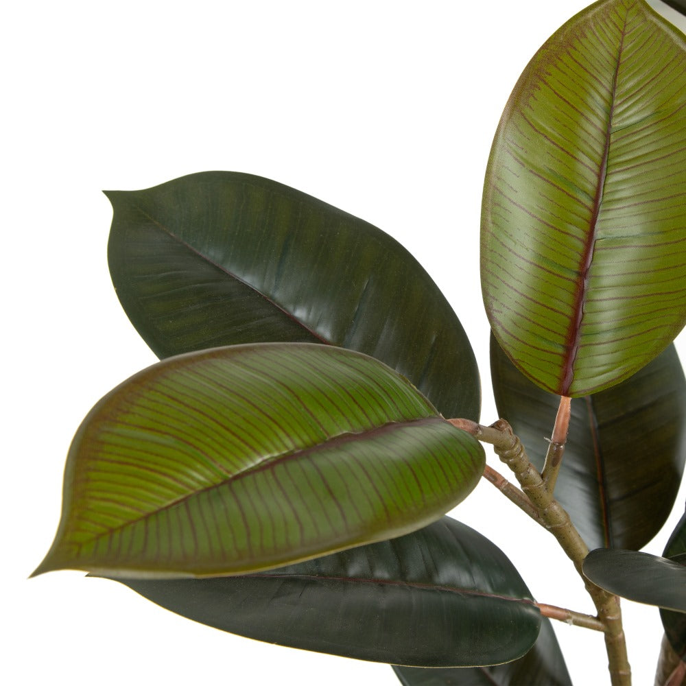 PLANTA FICUS VERDE OSCURO 49 X 45 X 125 CM