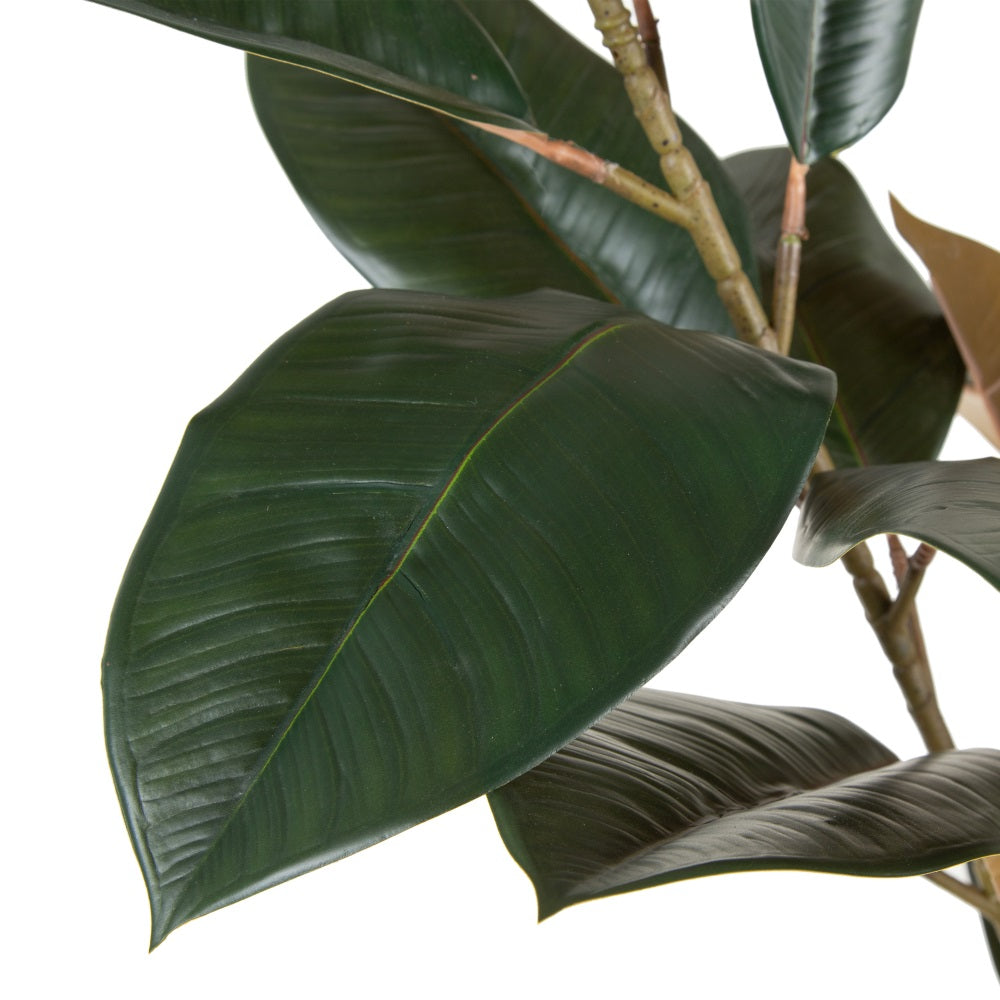 PLANTA FICUS VERDE OSCURO 49 X 45 X 125 CM