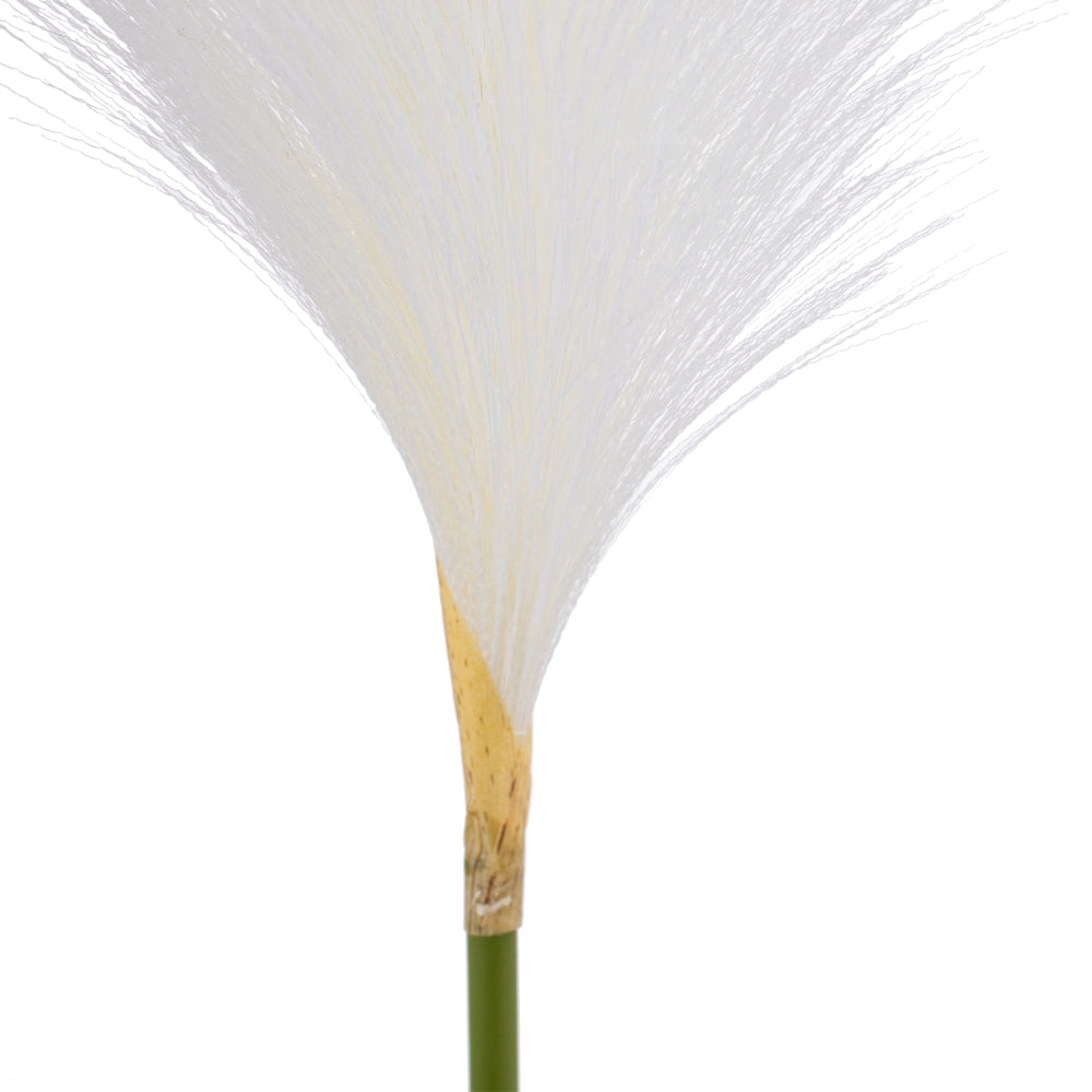 ARTIFICIAL WHITE RUSH BRANCH DECORATION 25 X 12 X 108 CM