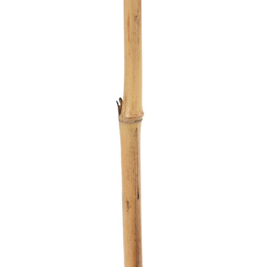 RAMA FLOR BEIGE FIBRA NATURAL 8 X 8 X 156 CM