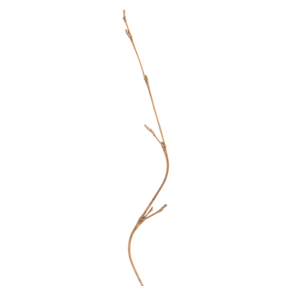 NATURAL FIBER CREAM BRANCH DECORATION 5 X 0.50 X 190 CM