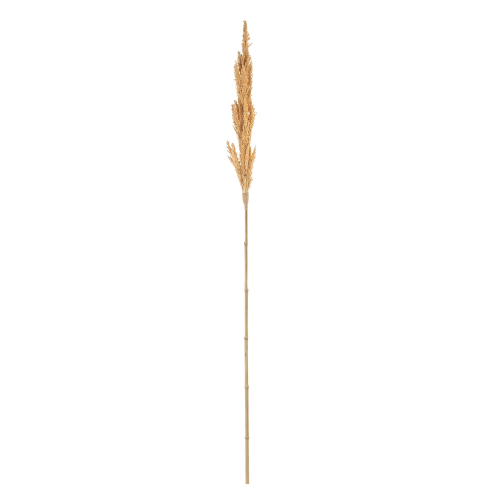 CREAM BRANCH NATURAL FIBER DECORATION 7 X 7 X 190 CM