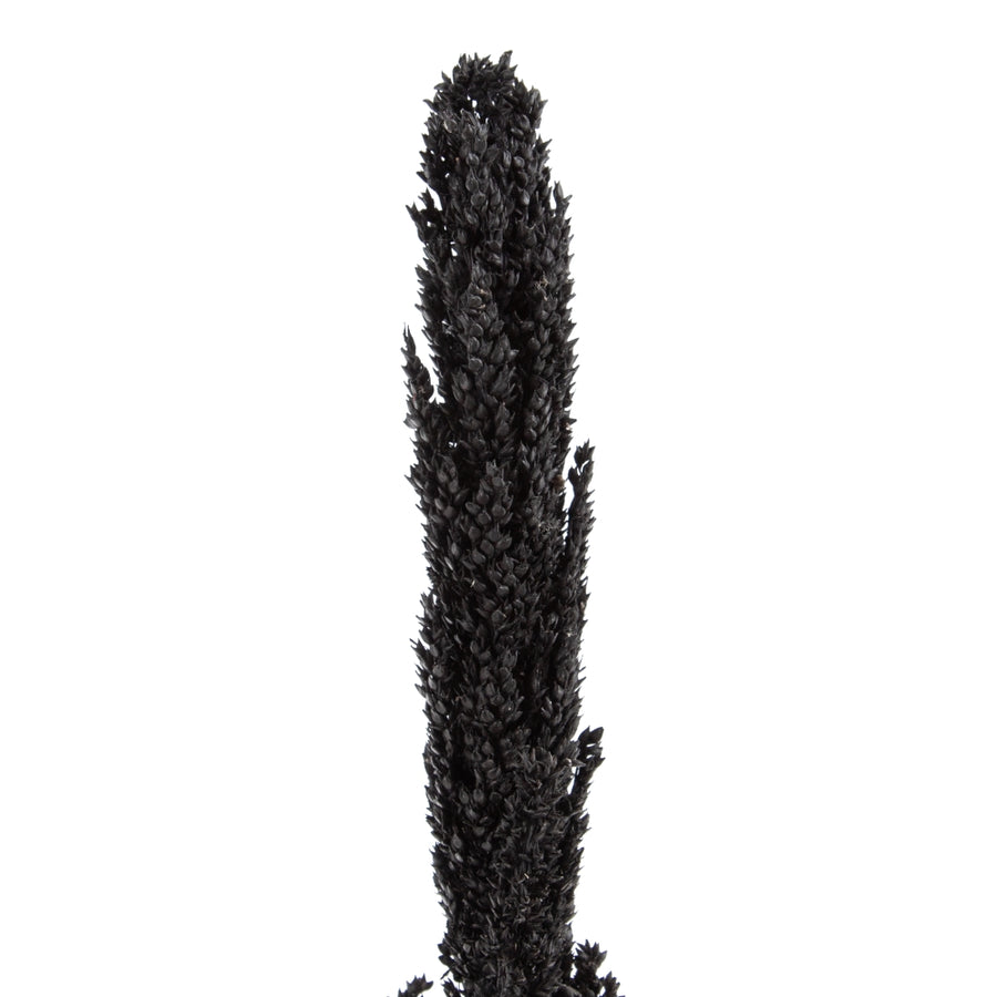 RAMA NEGRO FIBRA NATURAL DECORACIÓN 7 X 7 X 190 CM