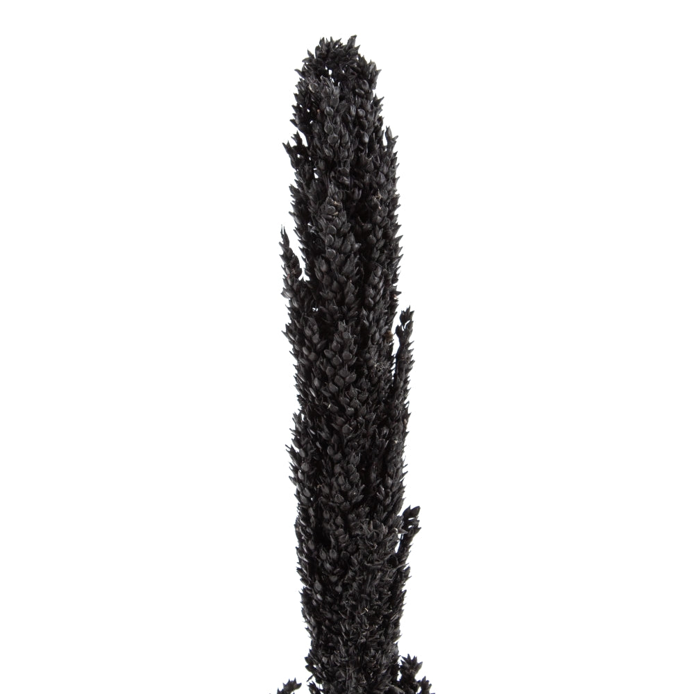 RAMA NEGRO FIBRA NATURAL DECORACIÓN 7 X 7 X 190 CM