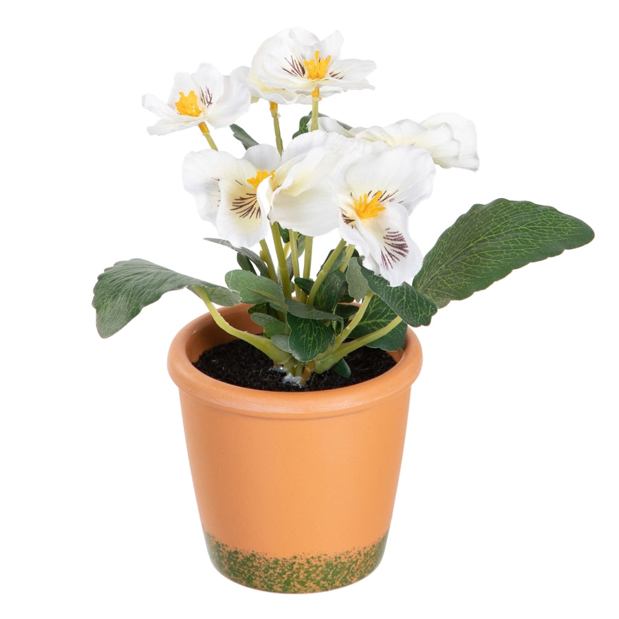 PLANTA PENSAMIENTO 3/M BLANCO 19 X 19 X 20 CM