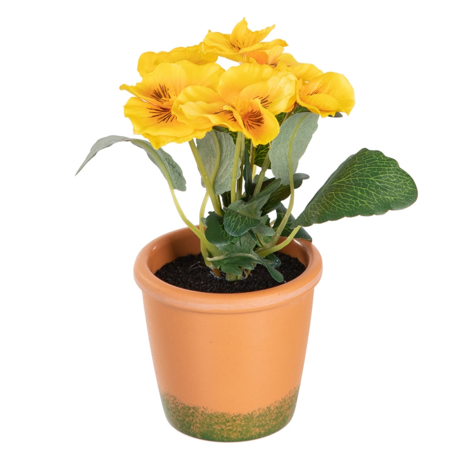 PLANTA PENSAMIENTO 3/M BLANCO 19 X 19 X 20 CM