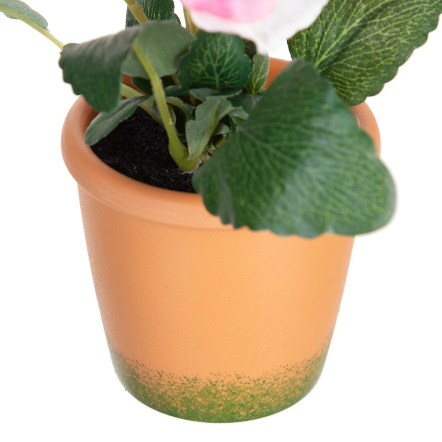 PLANTA PENSAMIENTO 3/M BLANCO 19 X 19 X 20 CM