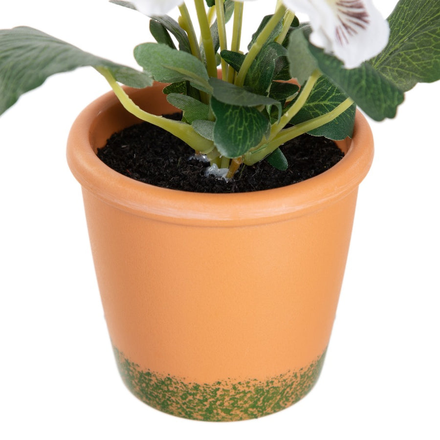 PLANTA PENSAMIENTO 3/M BLANCO 19 X 19 X 20 CM