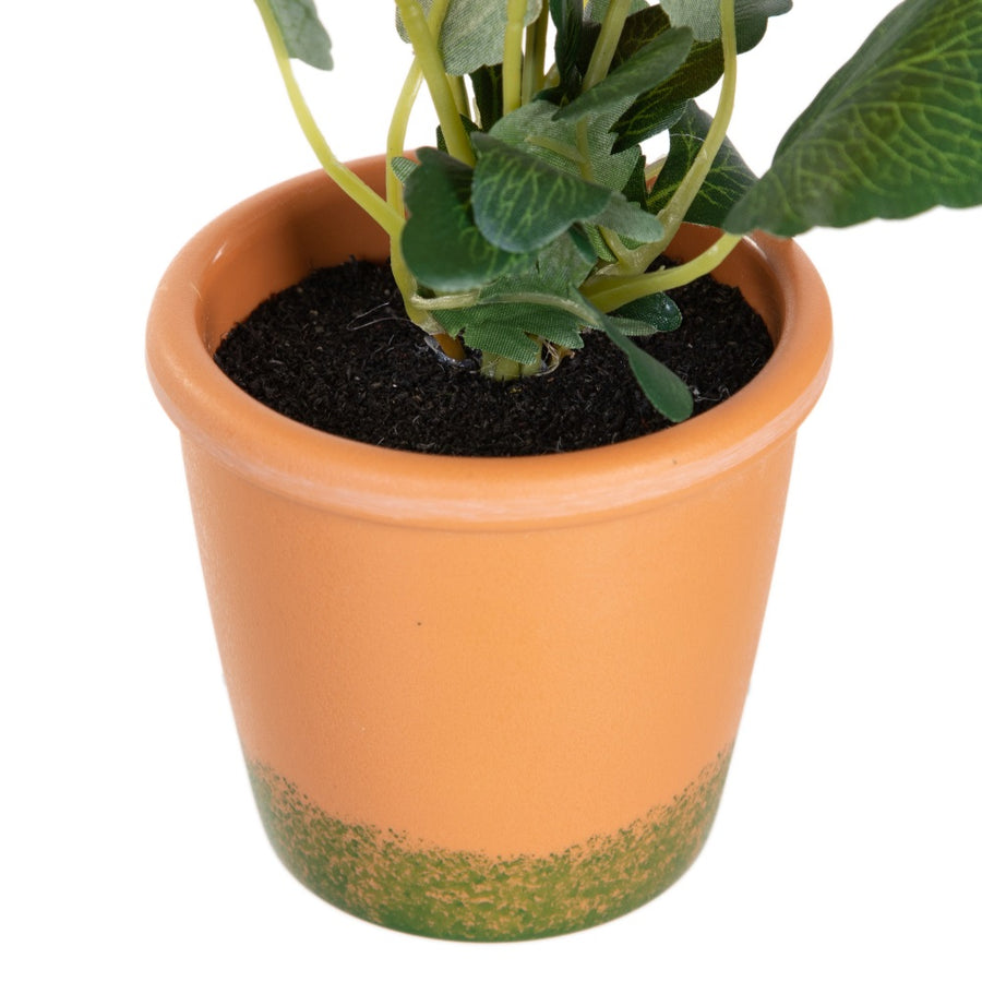 PLANTA PENSAMIENTO 3/M BLANCO 19 X 19 X 20 CM