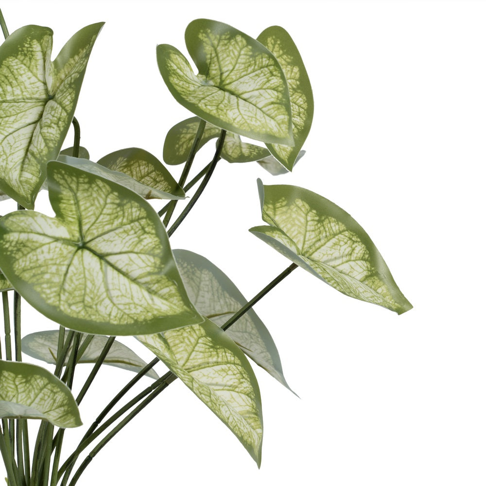 RAMA SINGONIO VERDE "PVC" 36 X 38 X 48 CM
