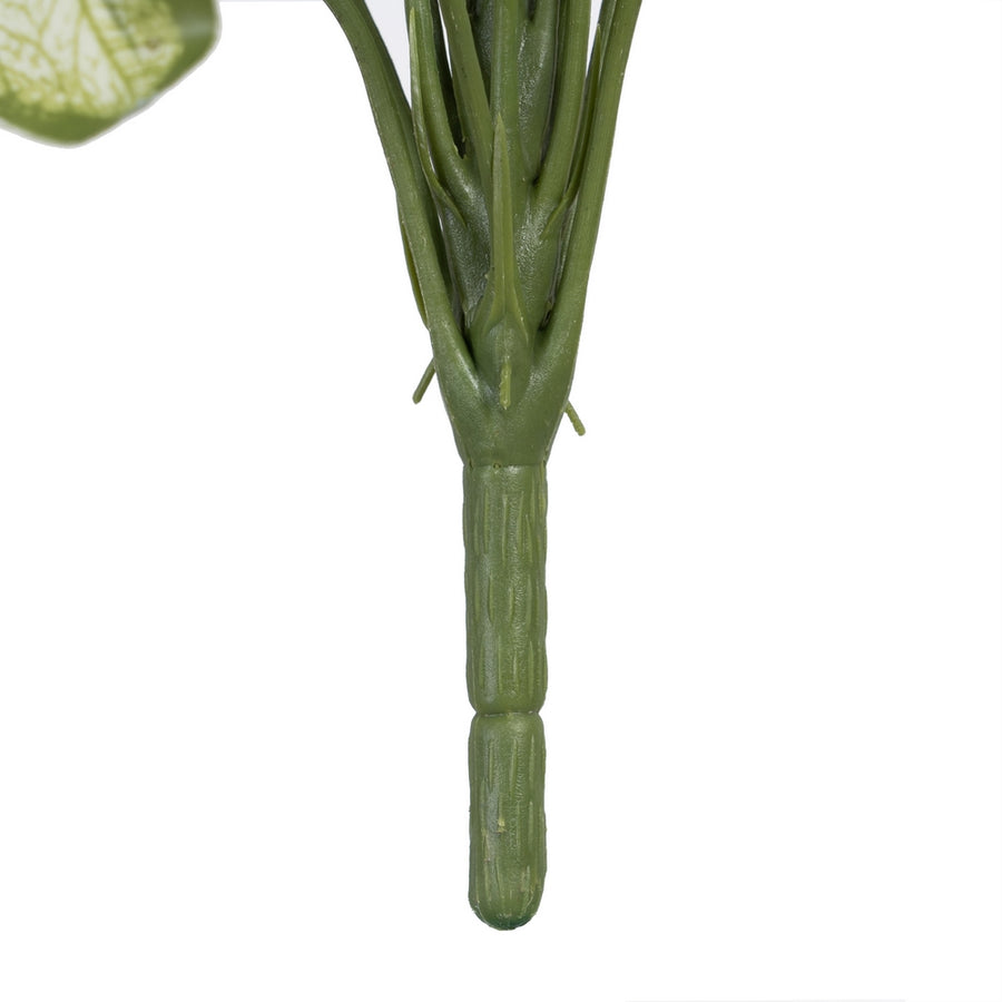 RAMA SINGONIO VERDE "PVC" 36 X 38 X 48 CM