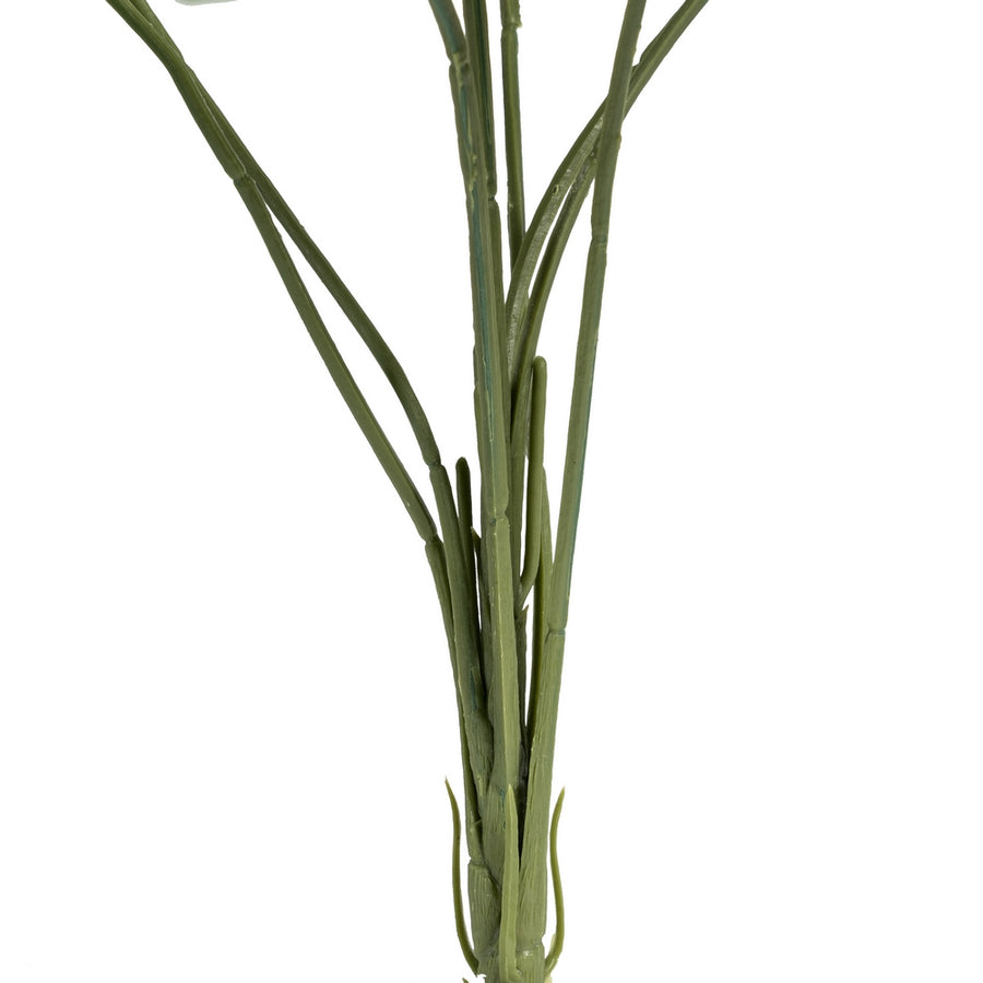 RAMA ARALIA VERDE "PVC" 52 X 56 X 56 CM