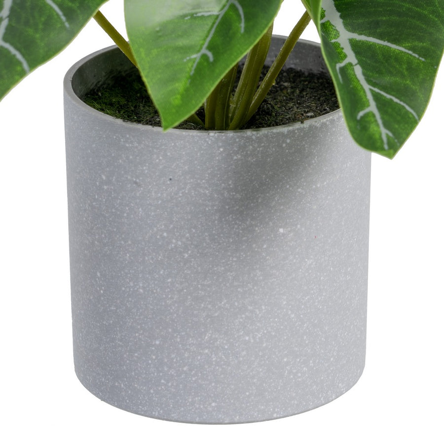 SINGONIO VERDE "PVC" 20 X 17 X 18 CM