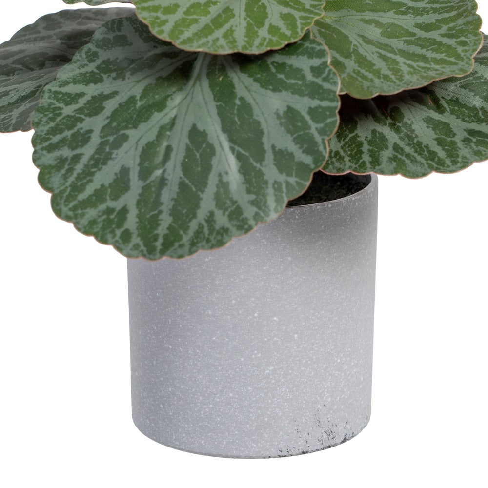 SAXIFRAGA VERDE "PVC" 20 X 21 X 18 CM