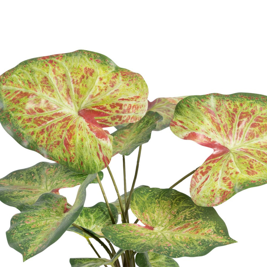 CALADIO ROJO-VERDE "PVC" 48 X 46 X 55 CM