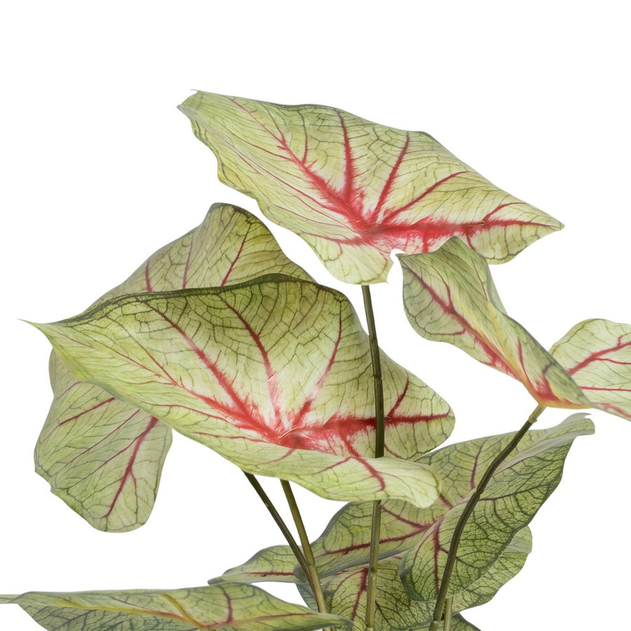 CALADIO ROJO-VERDE "PVC" 40 X 35 X 55 CM