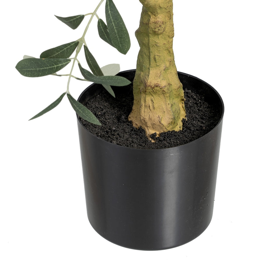 PLANTA OLIVO VERDE 56 X 48 X 78 CM