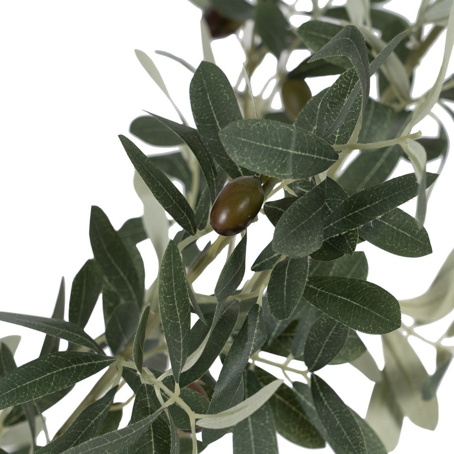PLANTA OLIVO VERDE 55 X 60 X 112 CM