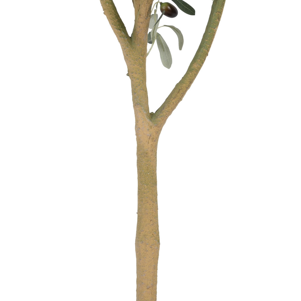 PLANTA OLIVO VERDE 55 X 60 X 112 CM