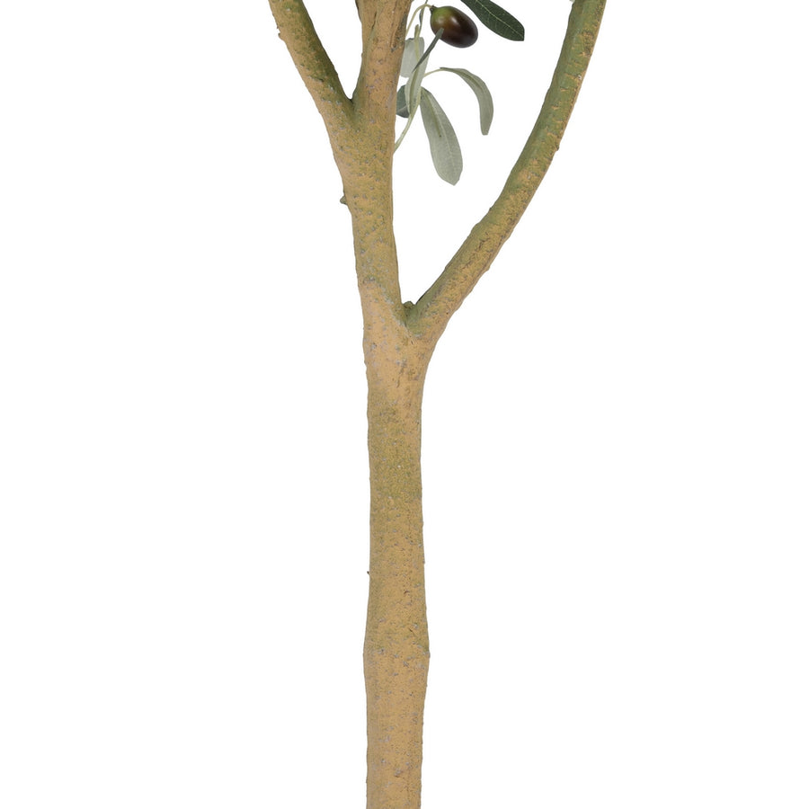 PLANTA OLIVO VERDE 55 X 60 X 112 CM