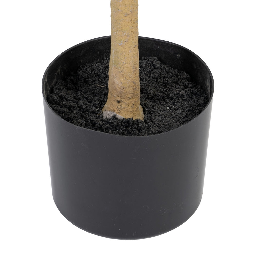 PLANTA OLIVO VERDE 55 X 60 X 112 CM