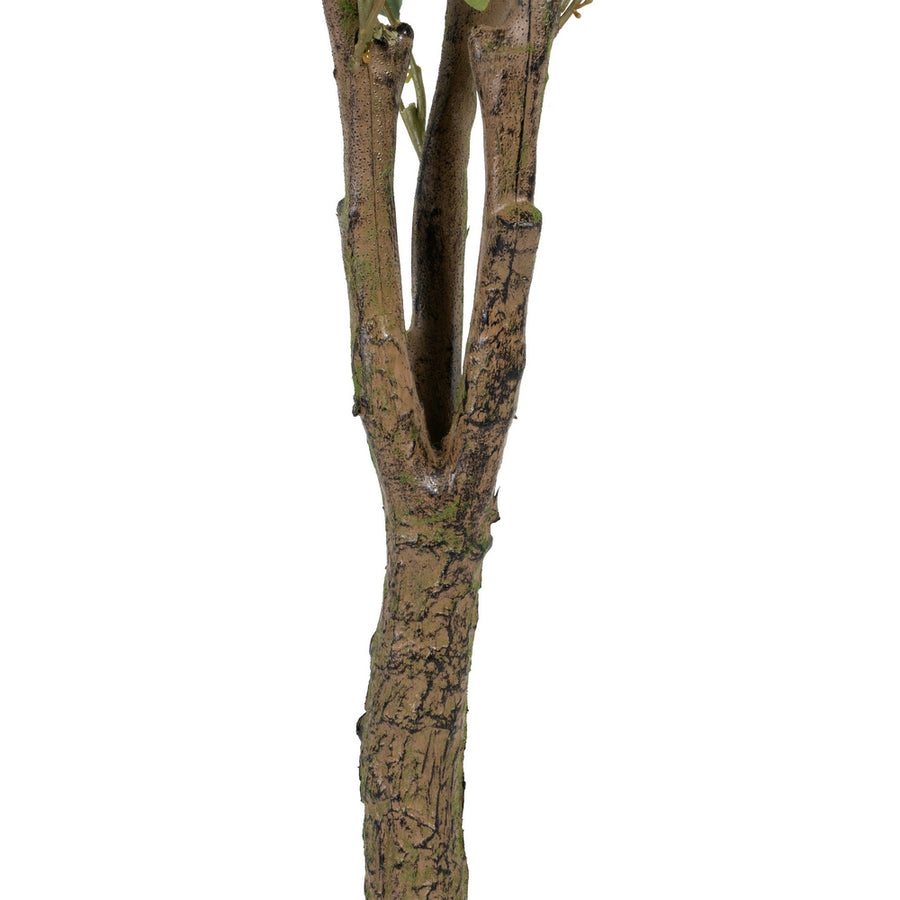 PLANTA EUCALIPTO VERDE 80 X 75 X 173 CM