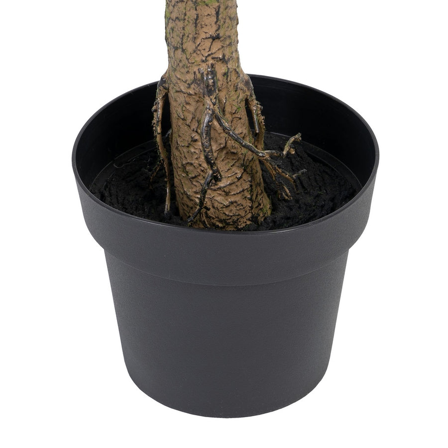 PLANTA EUCALIPTO VERDE 80 X 75 X 173 CM