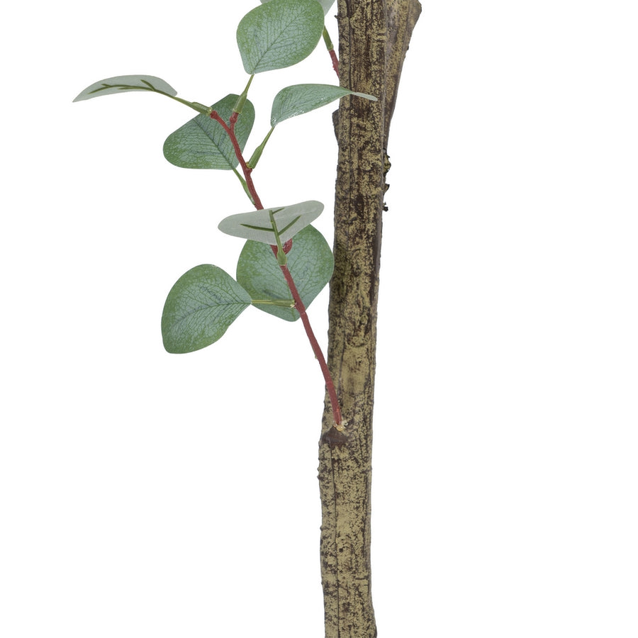 PLANTA EUCALIPTO VERDE 80 X 82 X 180 CM