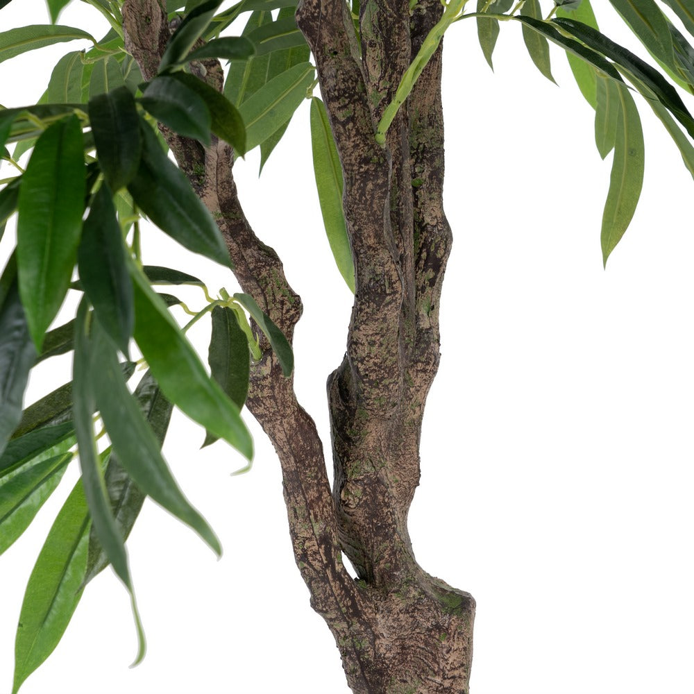PLANTA EUCALIPTO VERDE 105 X 100 X 160 CM