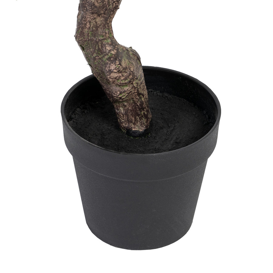PLANTA EUCALIPTO VERDE 105 X 100 X 160 CM