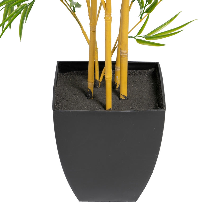 PLANTA BAMBÚ VERDE 90 X 86 X 220 CM