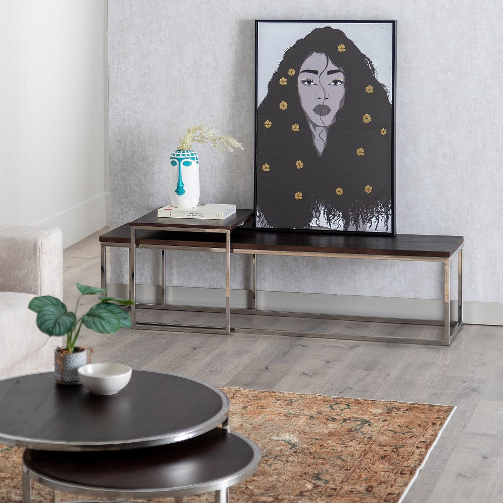 S/3 BROWN-SILVER COFFEE TABLE 152 X 38.50 X 38.50 CM