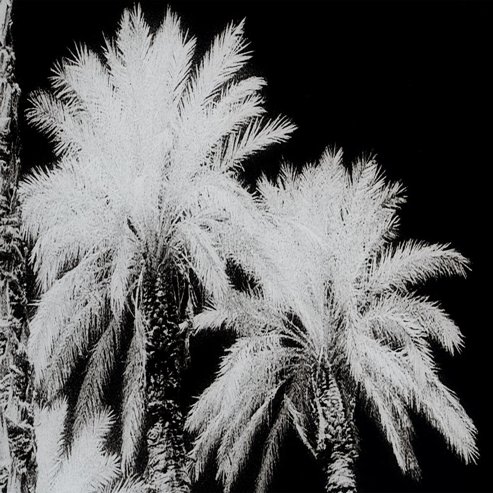 CUADRO IMPRESI�N PALMERAS 120 X 4 X 70 CM