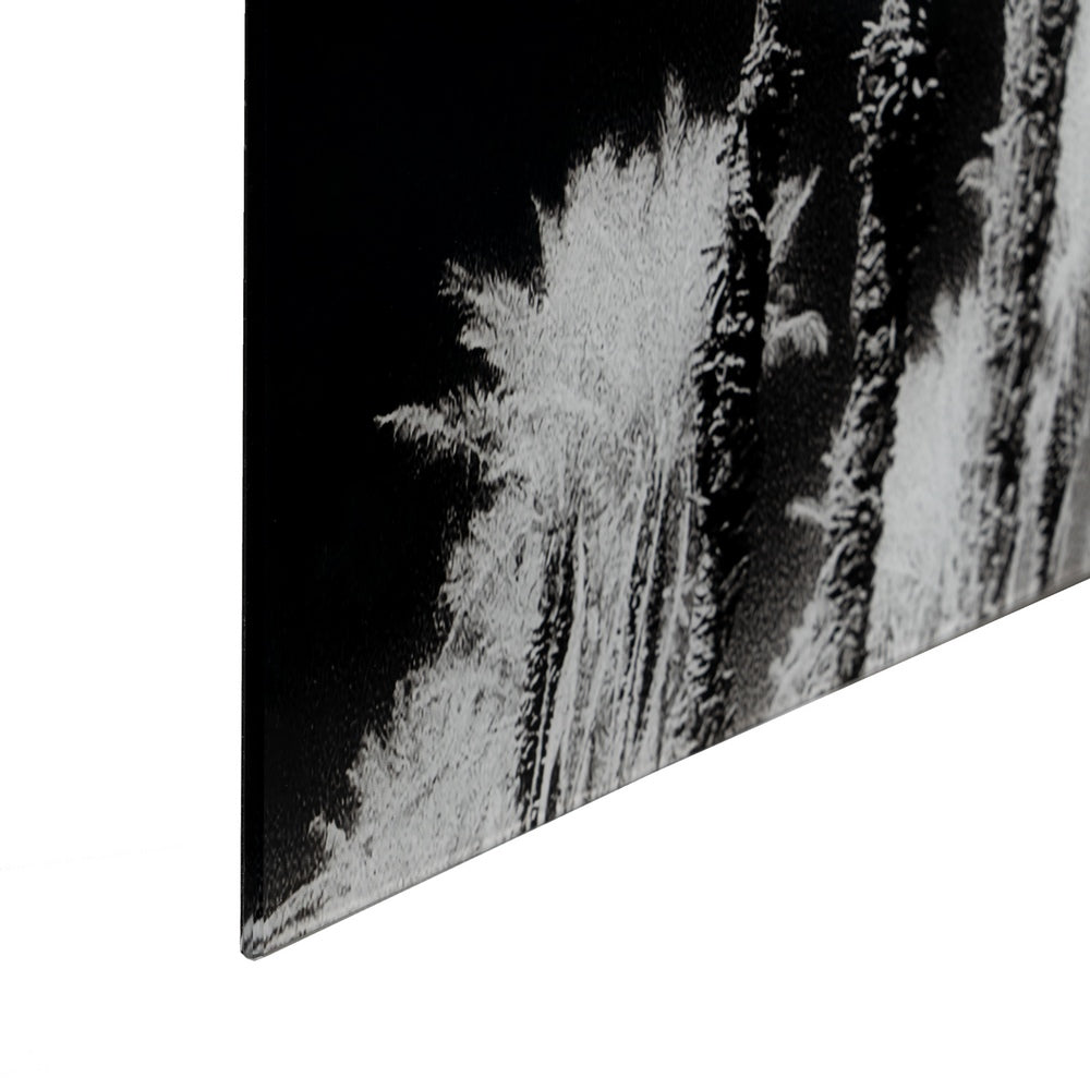 CUADRO IMPRESI�N PALMERAS 120 X 4 X 70 CM