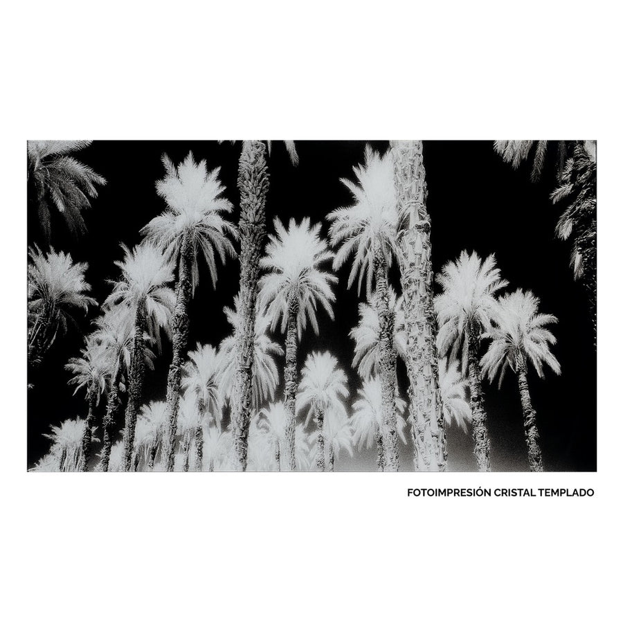 CUADRO IMPRESIÓN PALMERAS 120 X 4 X 70 CM