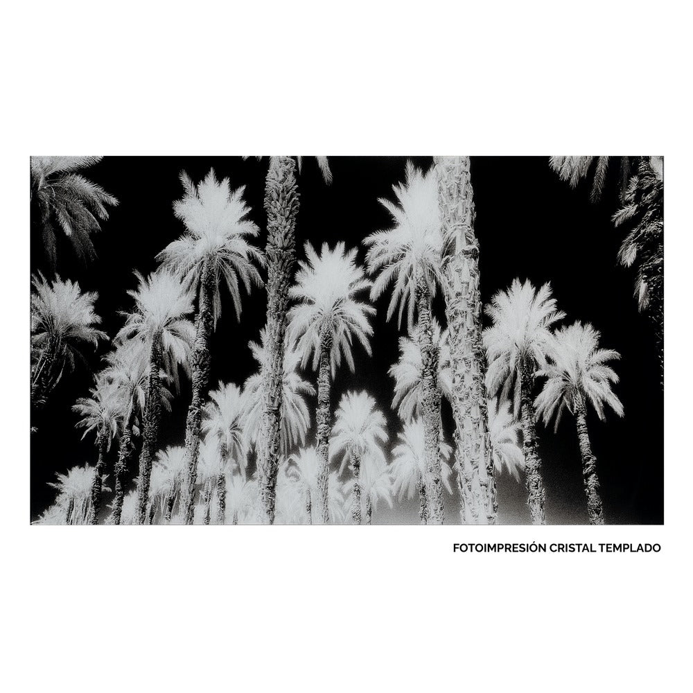 CUADRO IMPRESIÓN PALMERAS 120 X 4 X 70 CM