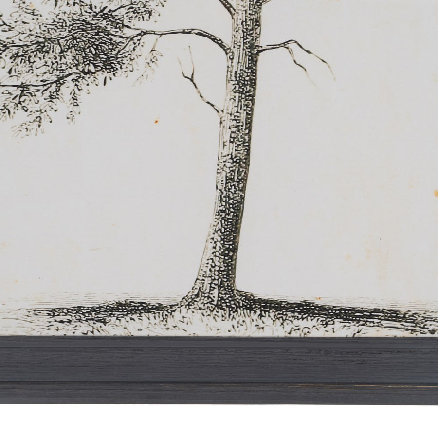CUADRO IMPRESIÓN ÁRBOL 2/M 45 X 2,50 X 60 CM