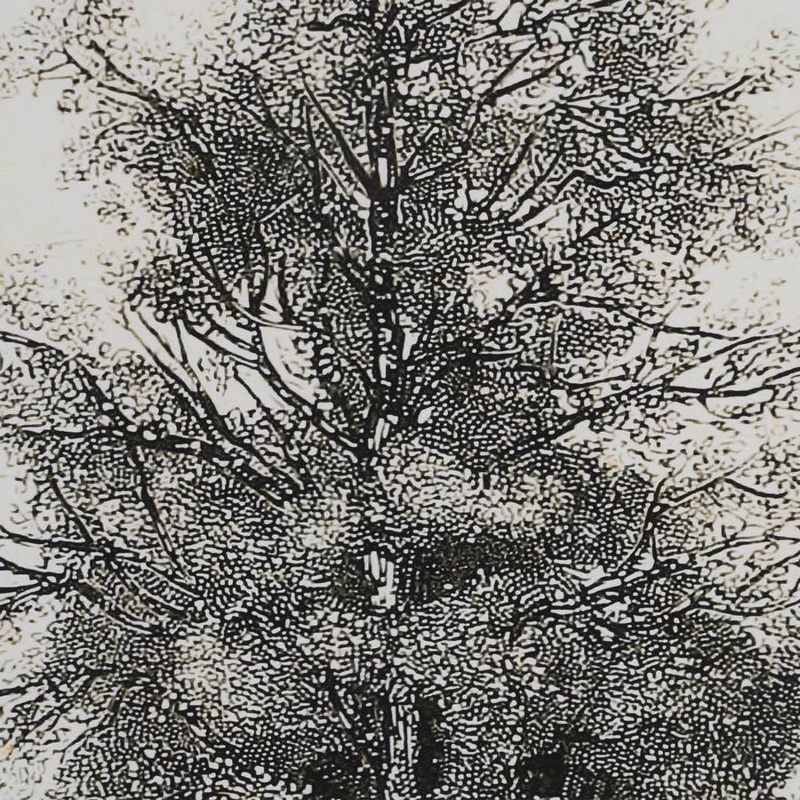 CUADRO IMPRESIÓN ÁRBOL 2/M 45 X 2,50 X 60 CM