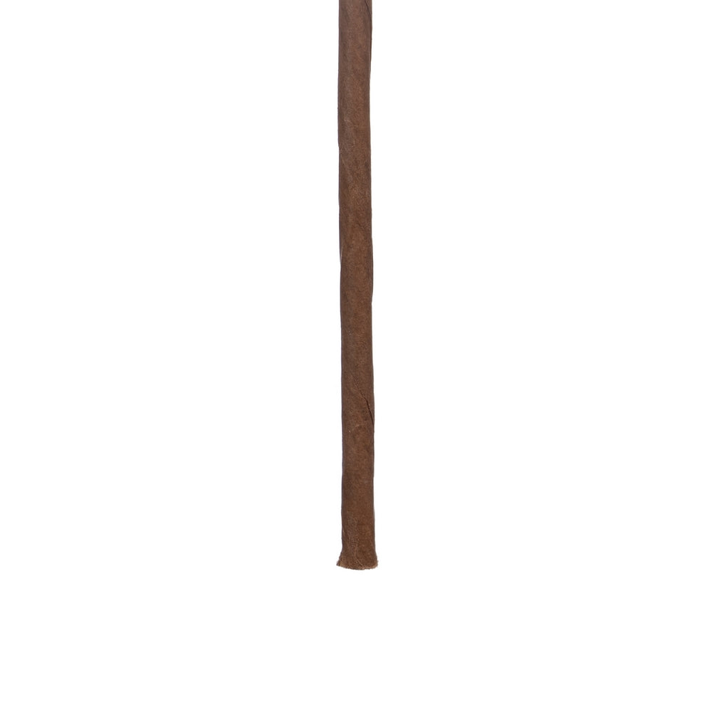 RUSH BRANCH ARTIFICIAL CREAM DECORATION 12 X 12 X 110 CM