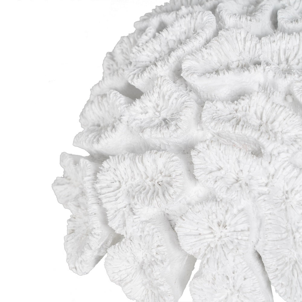 FIGURA CORAL BLANCO RESINA DECORACIÓN 23 X 22 X 11 CM