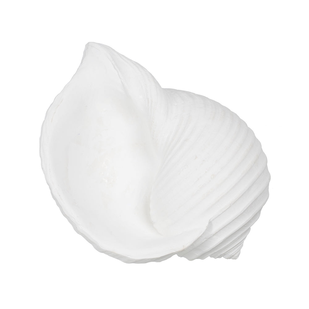 FIGURA CARACOLA BLANCO RESINA DECORACIÓN 15 X 11 X 9 CM