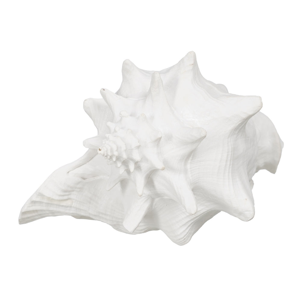 FIGURA CARACOLA BLANCO RESINA DECORACI�N 21 X 19 X 13 CM